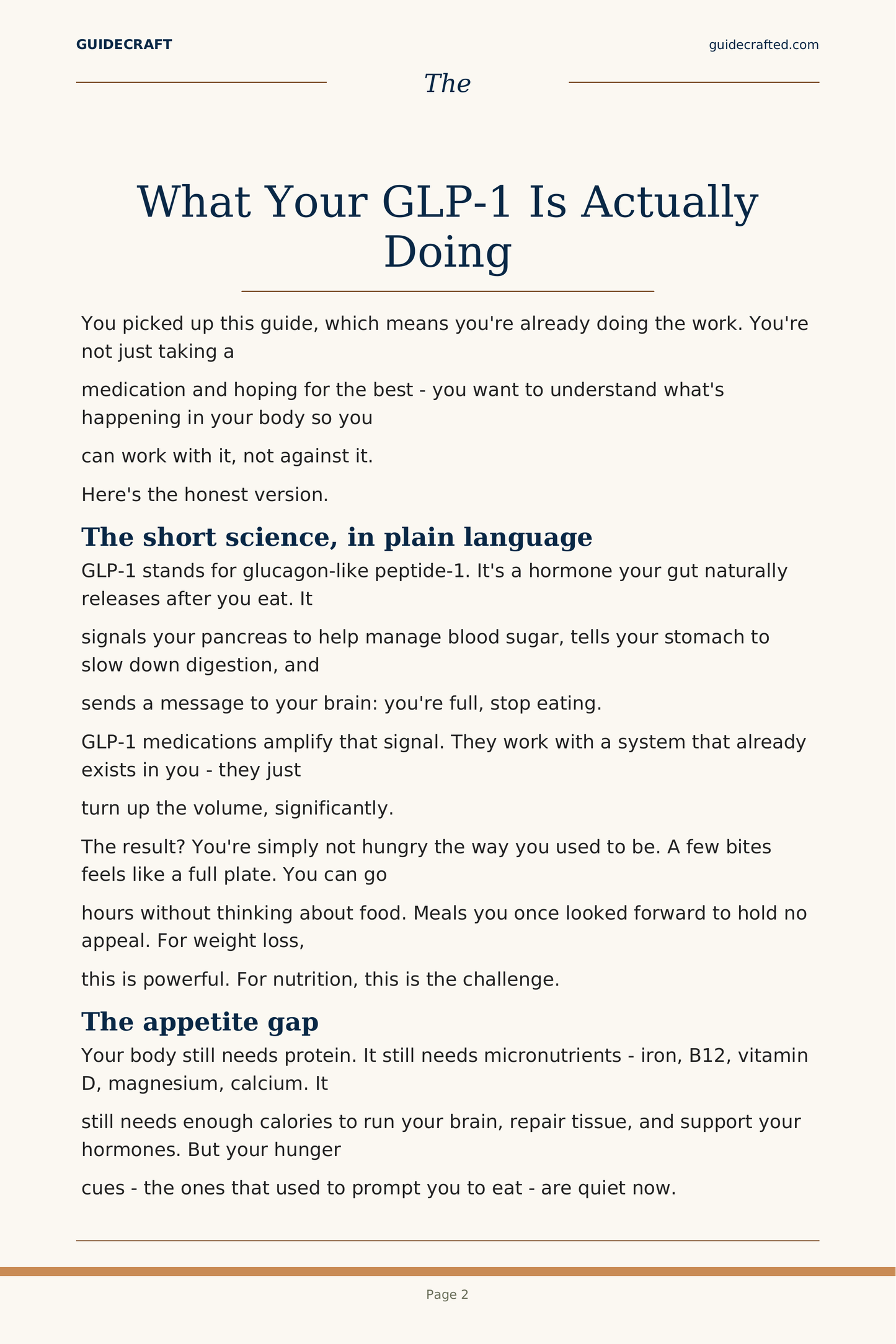 The GLP-1 Companion — sample page 3