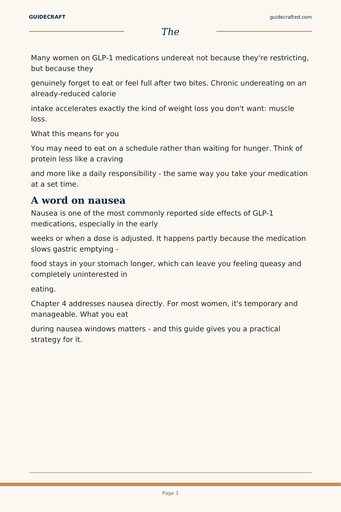 The GLP-1 Companion — sample page 4
